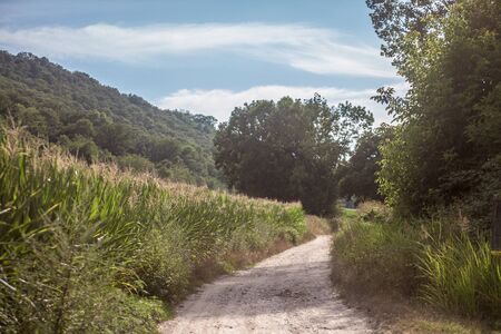 Typical French dirt road, a path in the countryside of France, with crops and corn fields ready to...