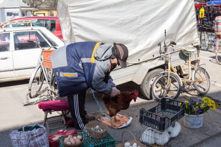 SOMBOR, SERBIA - MARCH 19, 2016: Senior Old man selling farm products, food, on a stall, holding a live hen or chickem on Somborska Pijaca Green market. it is a symbol of Serbian agriculture.のeditorial素材