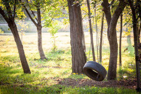 Old tire swing hanging with a chain in a wood in summer or autumn in a kids playground. This swing is made of a recycle tire wheel of rubber.の写真素材