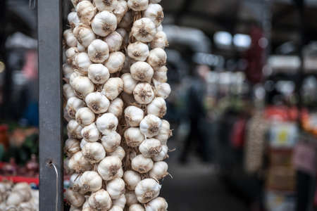 Garlic braids for sell on a Serbian market in Belgrade, Serbia, a country famous for its agriculture and its garlic production.の写真素材