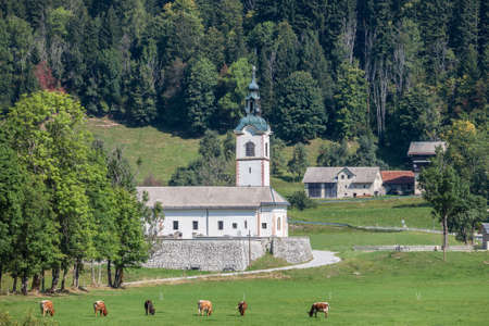 Typical alpine catholic church in Zgornje Jezersko, in Slovenia, at the border with Austria, in the julian alps mountain, with a typical baroque architecture and cows on grass in front, in a rural environment.の販売画像