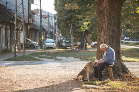 PANCEVO, SERBIA - OCTOBER 2, 2021: Selective blur on an old senior man, a serb, sitting on a bench, petting loooking at his dog, with a friendship look, in the streets of Pancevo.のeditorial素材