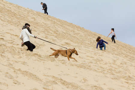 PILAT, FRANCE - FEBRUARY 22, 2022: Girl running down slope trying to control & tame her dog on Pilat Dune (Dune du Pyla). Pilat, or Pyla Dune is Europe biggest sand dune, in Arcachon Bay, in Aquitaine.のeditorial素材