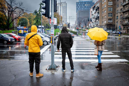 BELGRADE, SERBIA - NOVEMBER 6, 2021: Selective blur on three persons with umbrellas waiting to cross a street on zebra crossing during a rainy afternoon in the city cente of Belgrade in autumn.のeditorial素材