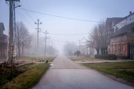 Selective blur on an empty road and street in the village of Vladimirovac in Vojvodina, Banat, Serbia, in the countryside, with a smog and fog during a cold freezing afternoon of winter.の写真素材