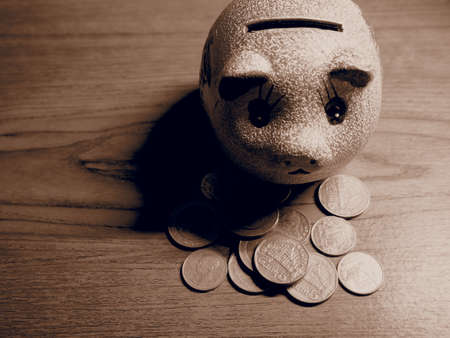 the piggybank for savingの写真素材