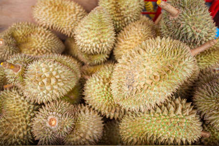 Durian of the Fruits in the market thailand