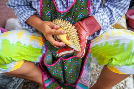 Durian of the Fruits in the market thailandの写真素材