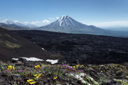 Kamchatka beautiful volcanic landscape - summer view of Bolshaya Udina Volcano. Eurasia, Russian Federation, Far East, Kamchatka Peninsula, Klyuchevskaya Group of Volcanoes.のeditorial素材