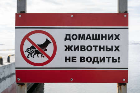 Poster on rookery Northern Sea Lion or Steller Sea Lion (Eumetopias Jubatus) on coast of Pacific Ocean, inscription in Russian: Do not drive pets! Kamchatka Peninsula, Russian Far East.のeditorial素材