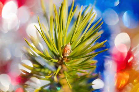 Close-up of Xmas pine tree branch with needles. Christmas ornament decorations for celebration Happy New Year. Selective soft focus on foreground. Colorful holiday blurry bubble bokeh on background.の写真素材