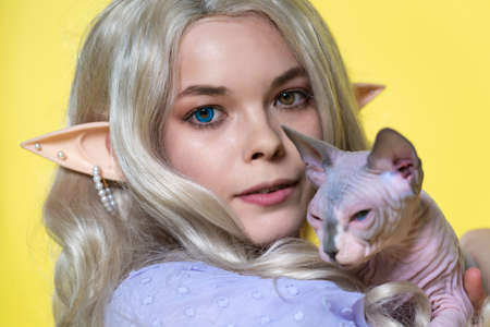 Portrait of cosplay elf young woman holding Sphinx cat in her hands on yellow background. Elf in blue dress, with blonde curly long hair, eyes of different colors, pierced ears looks at camera.の写真素材