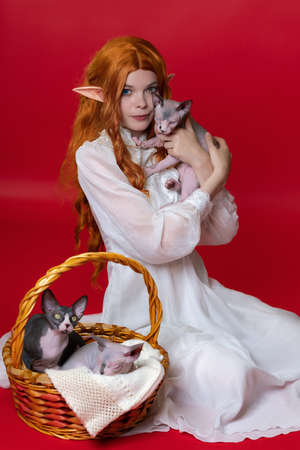 Young female cosplay elf sitting with three loves Sphynx kittens on red background. She holds one of them in hands, other two are in brown wicker basket. Ginger elf in white dress looks at camera.の写真素材