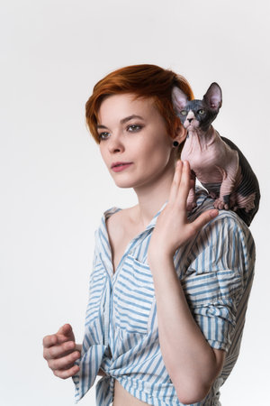 Sphynx Hairless Cat sitting on shoulder of redhead young woman. Hipster female with short hair dressed in striped white-blue shirt. Studio shot on white background. Part of series. Selective focusの写真素材