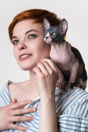 Sphynx kitten sitting on shoulder of happy redhead young woman. Selective focus on cat. Hipster female with short hair dressed striped white-blue shirt. Studio shot on white background. Part of seriesの写真素材