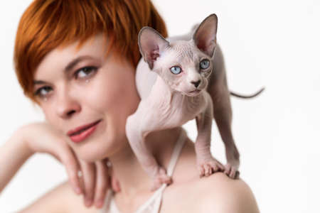 Canadian Sphynx Cat standing in defensive pose on shoulder of redhead young woman with short hair....
