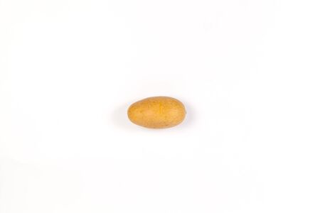 Fake Potato isolated on white backgroundの写真素材