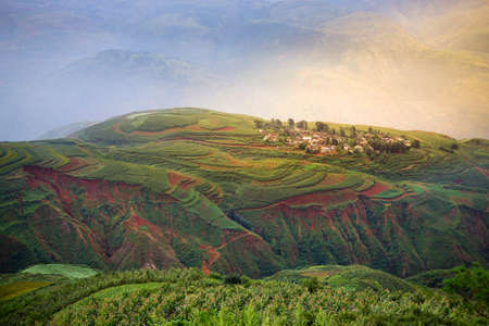 Mustard and flower field in autumn at countryside of Dong Chuan, red land, one of the landmarks in Kunming, yunnan province China. (With fog, mist, haze effect at background and blur foreground.)の写真素材