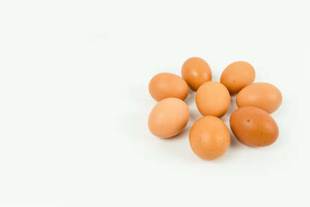 Eggsの写真素材