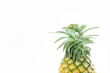 Pine apple isolated on white backgroundの写真素材