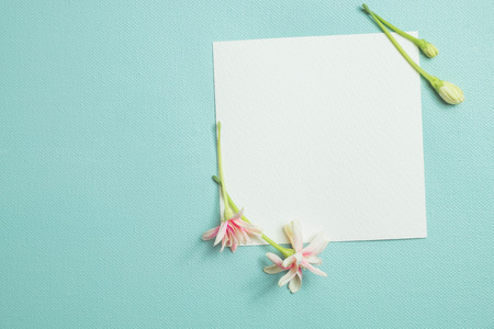 little lovely flowers on white empty paper card over blue background for making card in mother day,...