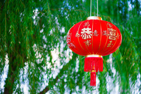 Red lanterns decorative on  tree
