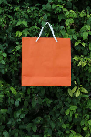 recyclable paper bag for greenの写真素材
