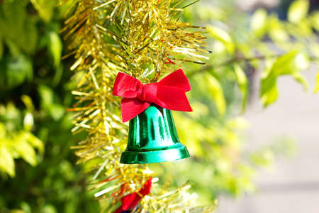 green bell on tree の写真素材