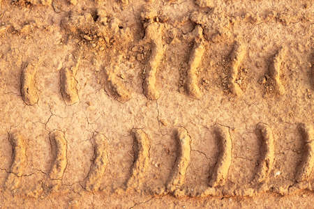 wheel tracks detail の写真素材