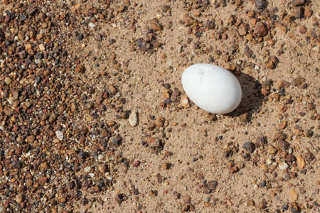 Close-up of cracked egg on groundの写真素材