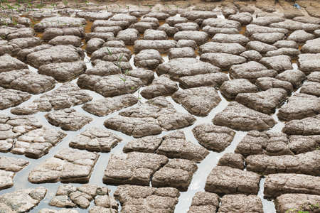 Drought breaks ground fissures of the ground  の写真素材
