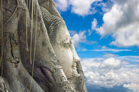 Buddha Statue Head in Banyan Tree on blue sky, Thailand の写真素材