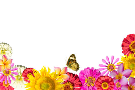 mix flowers frame mix flowers frame