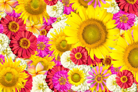 mix flowers frameの写真素材