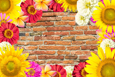 mix flowers frameの写真素材