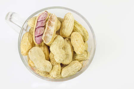 Peanut in a cupの写真素材