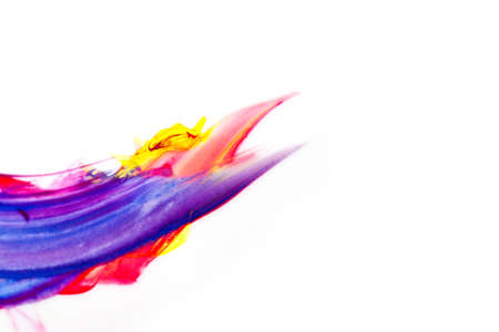 abstract art wallpaper watercolorの写真素材