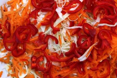 Colorful salad with cabbage, carrots and red peppers under natural lightの写真素材