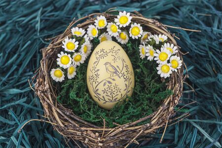 Easter eggs with daisy on fresh green grass on nestの写真素材