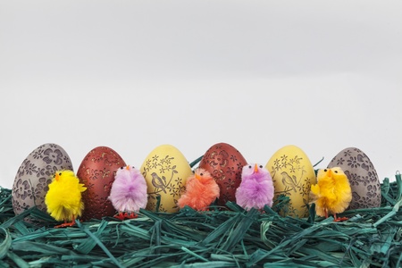 Colorful easter chickens with eggsの写真素材