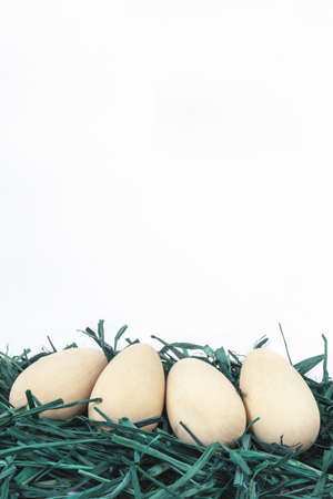 Easter wooden eggs on green grass の写真素材