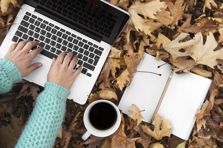 Woman sitting down in autumn leaves, using Laptop, top viewの写真素材