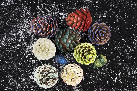 Pinecones painted with different paints, isolated on black backgroundの写真素材
