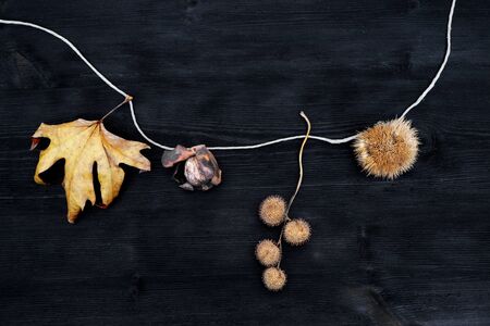 Natural christmas decorations of leaves, chestnuts and nuts on black backgroundの写真素材