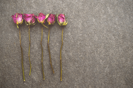 Dried roses flowers isolated on grey marble backgroundの写真素材