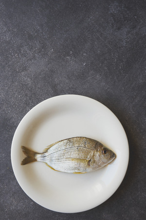 Fish on a white plate, on cement background