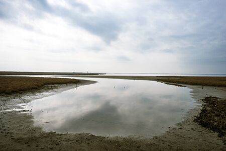 Landscape on delta of river Evros, Greece