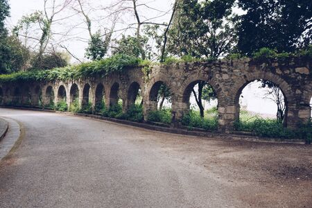 Mon Repos park, Corfu Town, Greeceの写真素材