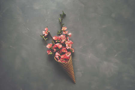 Flowers in ice cream cone on cement backgroundの写真素材
