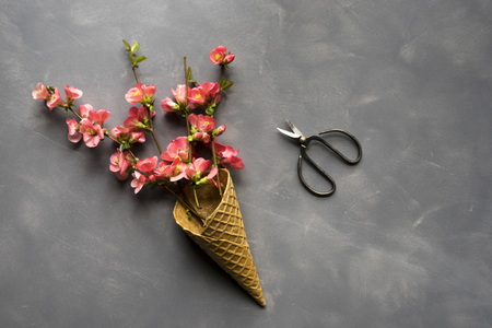 Flowers in ice cream cone on cement backgroundの写真素材